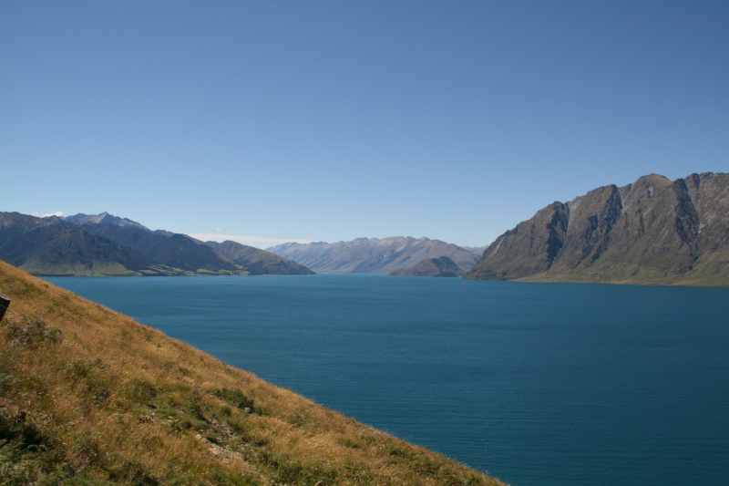 Nieuw-Zeeland 2011 - 1606